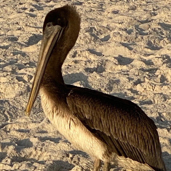 Meet your Posher, Mike - Picture 5 of 15